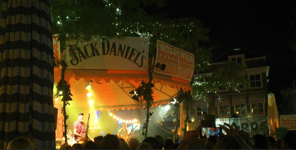Nighttime live music performance at Wild Rooster Festival in The Hague.