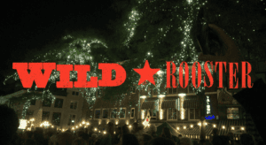Night view of Wild Rooster Festival with lights and fireworks in The Hague.