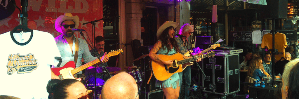 Country band performing live at Wild Rooster Free Festival in The Hague.